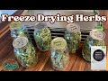 Freeze Drying Herbs (Harvest Right Freeze Dryer)