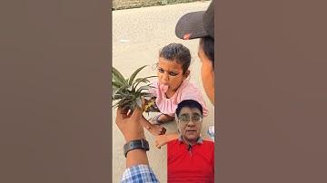 Instant Productivity Boost with These Smart Tools! | #shorts #shortsfeed #viralshorts