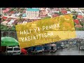 Alha Goya-Hali ya Pemba