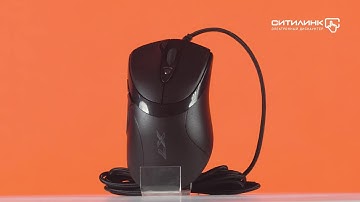 Обзор мыши A4 X-748K | Ситилинк