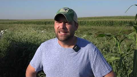 Saturated buffer research tests nutrient relocation