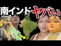 日本人が行かない南インド来たけど鬼狂いですわ...【奇声舞踊】
