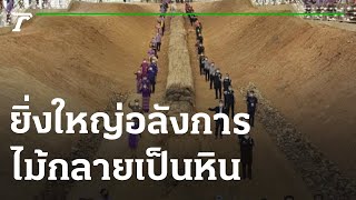 ครั้งแรกของไทยเจ้าของสถิติโลก "ไม้กลายเป็นหิน" | 09-07-65 | ไทยรัฐทันข่าว