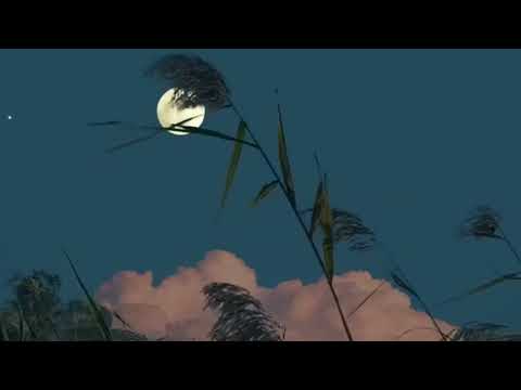 مش سليم بدون موسيقى حمزة نمرة