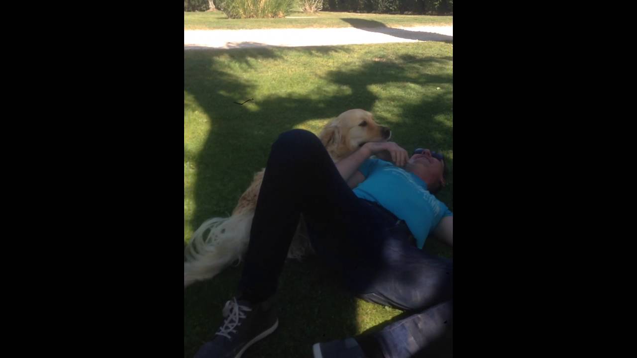 Accouplement Humain Et Chien : L’accouplement chez le chien : comment ...