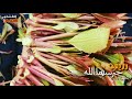 ياعيوني اذرفي دمعك على جرح يبرئ اداء علاء العولقي تصميم الغشامي علوي ابونواف