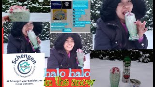 Making Halo Halo in the Snow /Annedutch Europe
