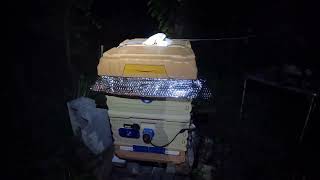 NIGHT OAV No 12 #honey #beekeeper #beehive #varroa #apimaye #Bee #instavap #oxalicacid
