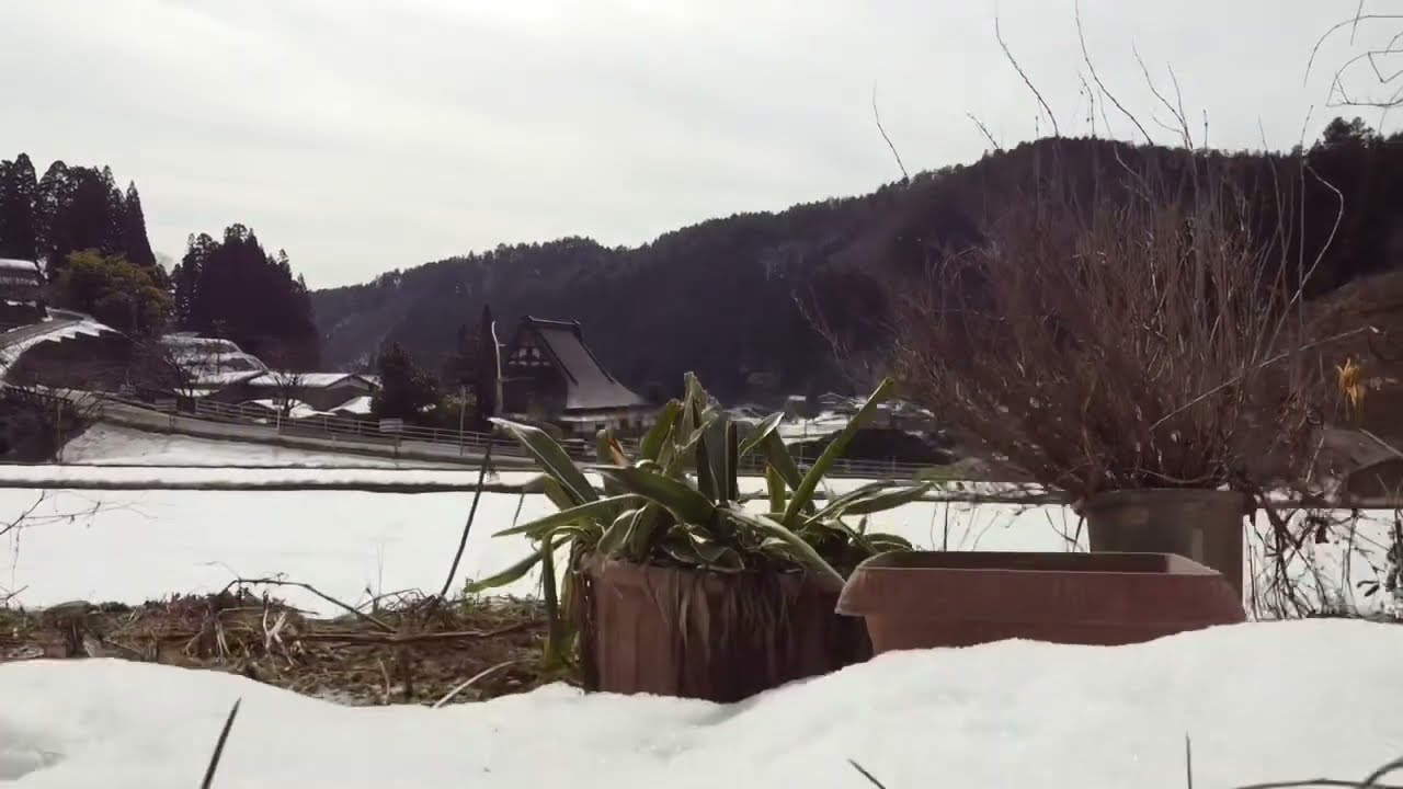 農業2026 17 #農業 #空撮 #ドローン #DJI Mini2