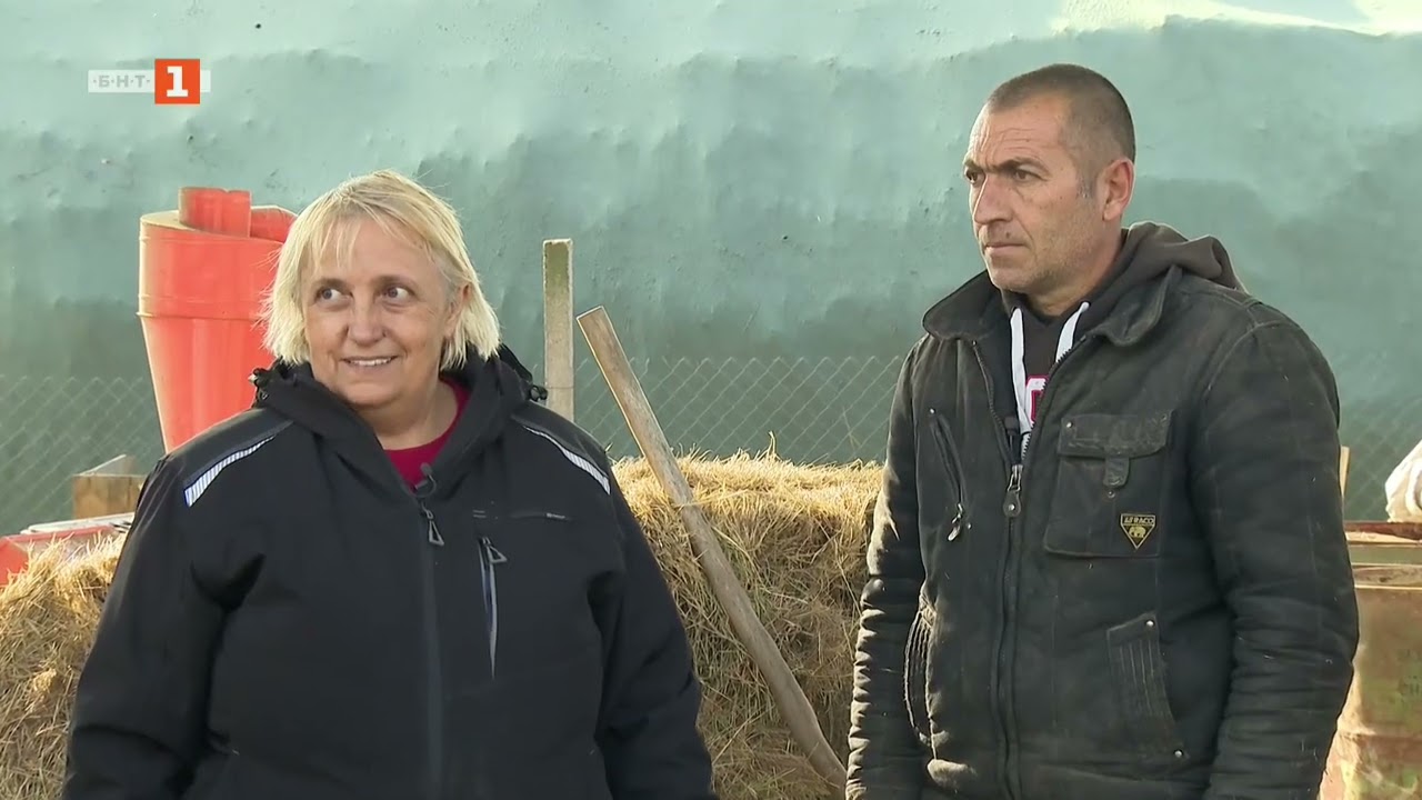 Да станеш фермер на шега, Бразди - 31.01.2026