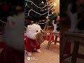 初めてのクリスマスイブ