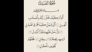 سورة الفيل بصوت القارئ إسلام صبحى #القرآن_الكريم #مما_قرأت