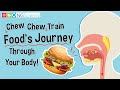Human Digestive System Processes