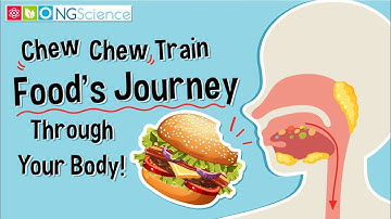 Chew Chew Train – Food