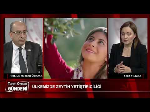 Tarım Orman Gündemi