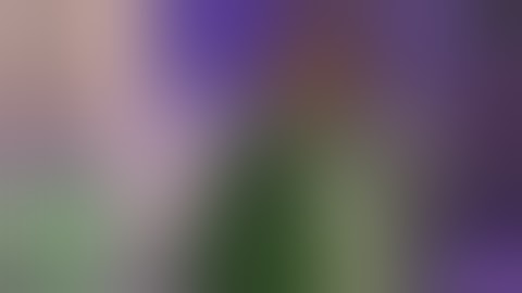 Get Some White Friends - Katt Williams: Pimp Chronicles Pt.1