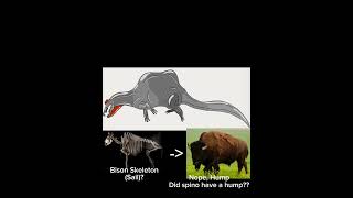 Accurate Spino Drawing By Me, What Do You Guys Think?