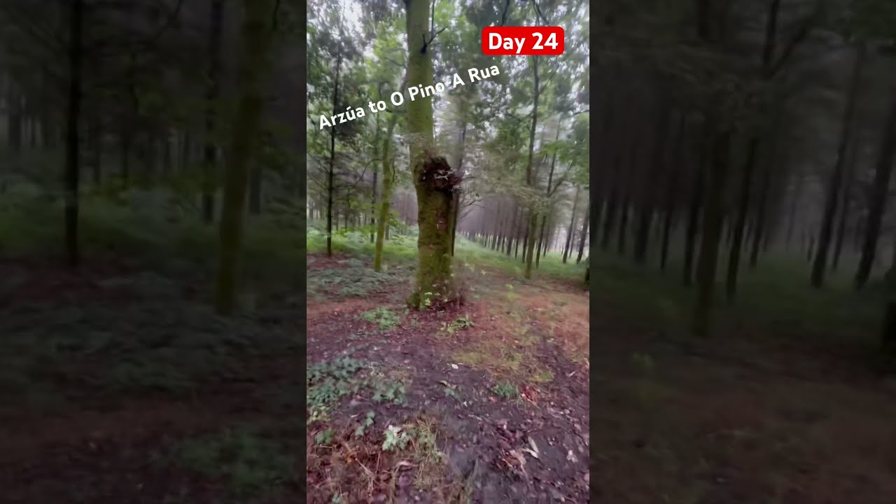 Day 24 Of Our Camino We Decided That Needed A Little GLAMPING Before Completing Final Leg 