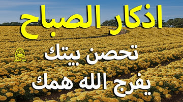 اذكار الصباح بصوت يريح قلبك راحه نفسيه  حصن نفسك وبيتك من الشيطان علاء عقل Morning adhkar