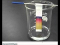Chromatography: Unraveling the Colors of Ink Through Experimentation