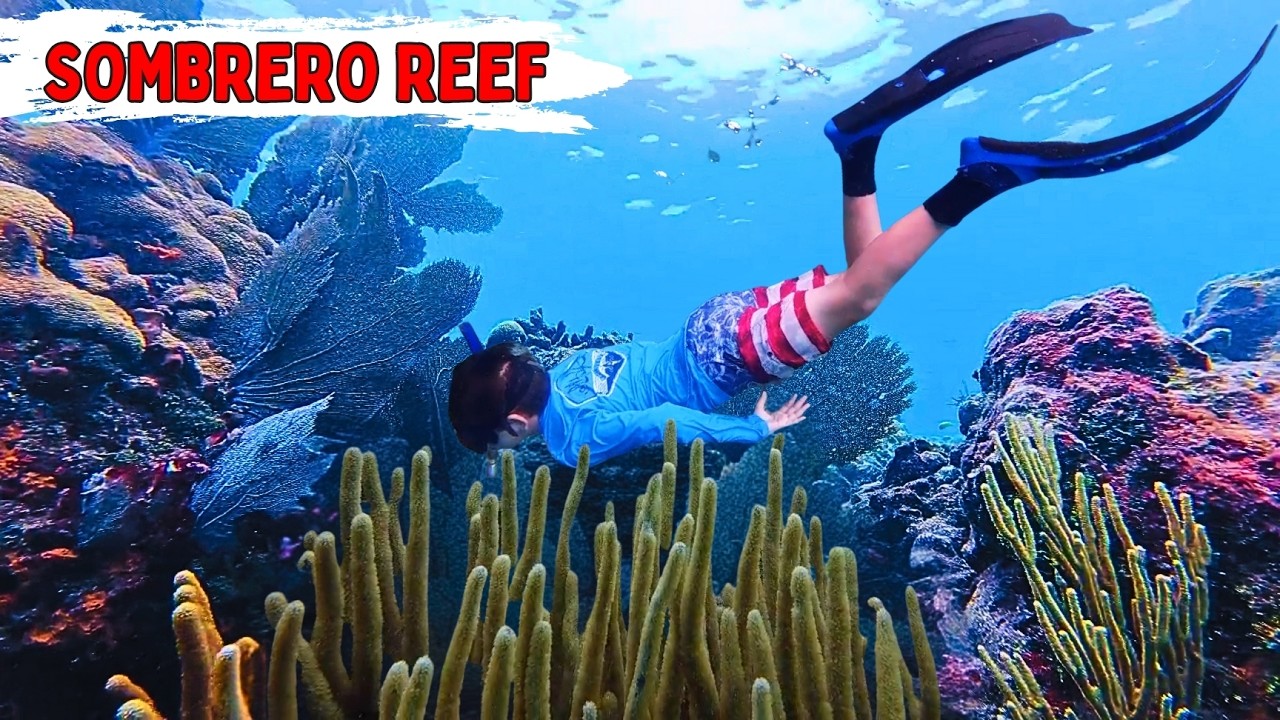 Снорклинг на рифе Сомбреро | СКРЫТЫЙ подводный рай Флорида-Ки