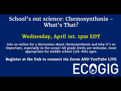 School's out science - Chemosynthesis - YouTube