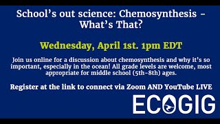 School's out science - Chemosynthesis