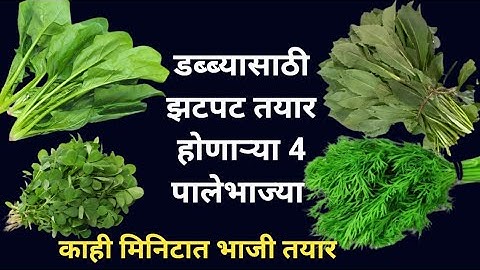 डब्यासाठी बनवा झटपट तयार होणाऱ्या ४ पालेभाज्या|मेथी भाजी,शेपू भाजी,पालख भाजी,करडई भाजी tiffinrecipe