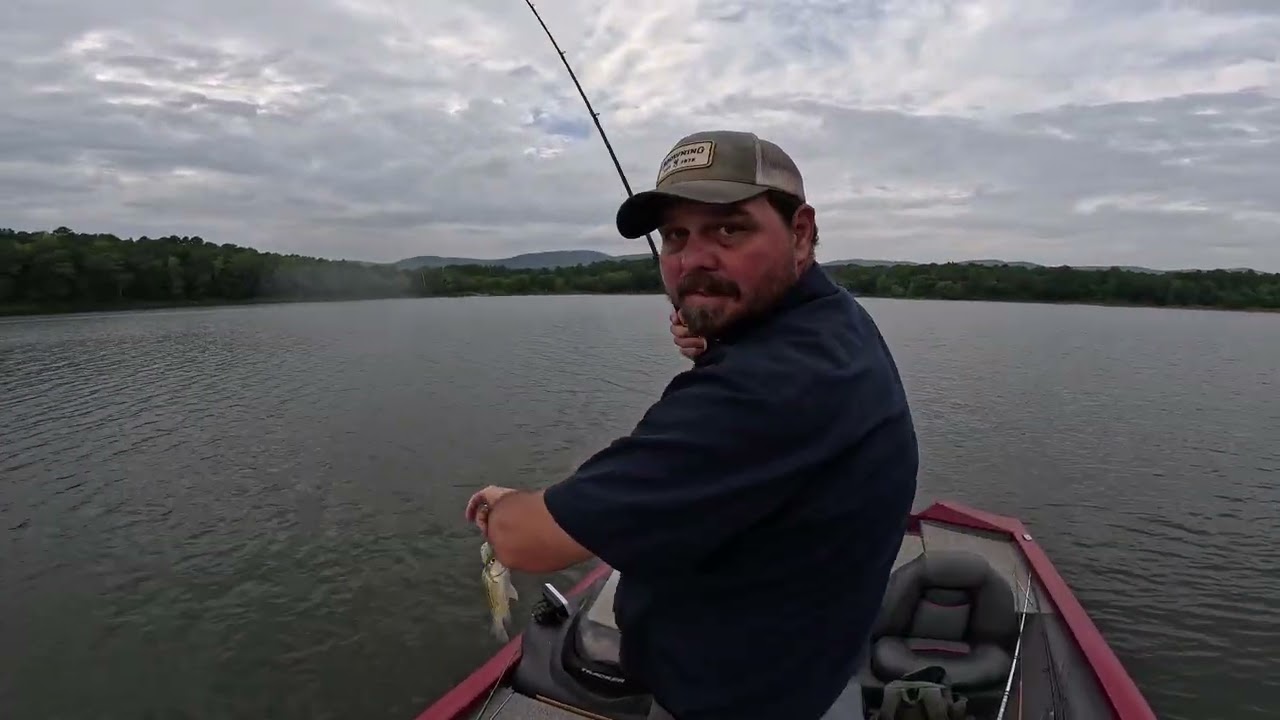 Yellow Bass every cast @fourjhuntingandfishing #bass #fishing #fish #boating #fyp #viral