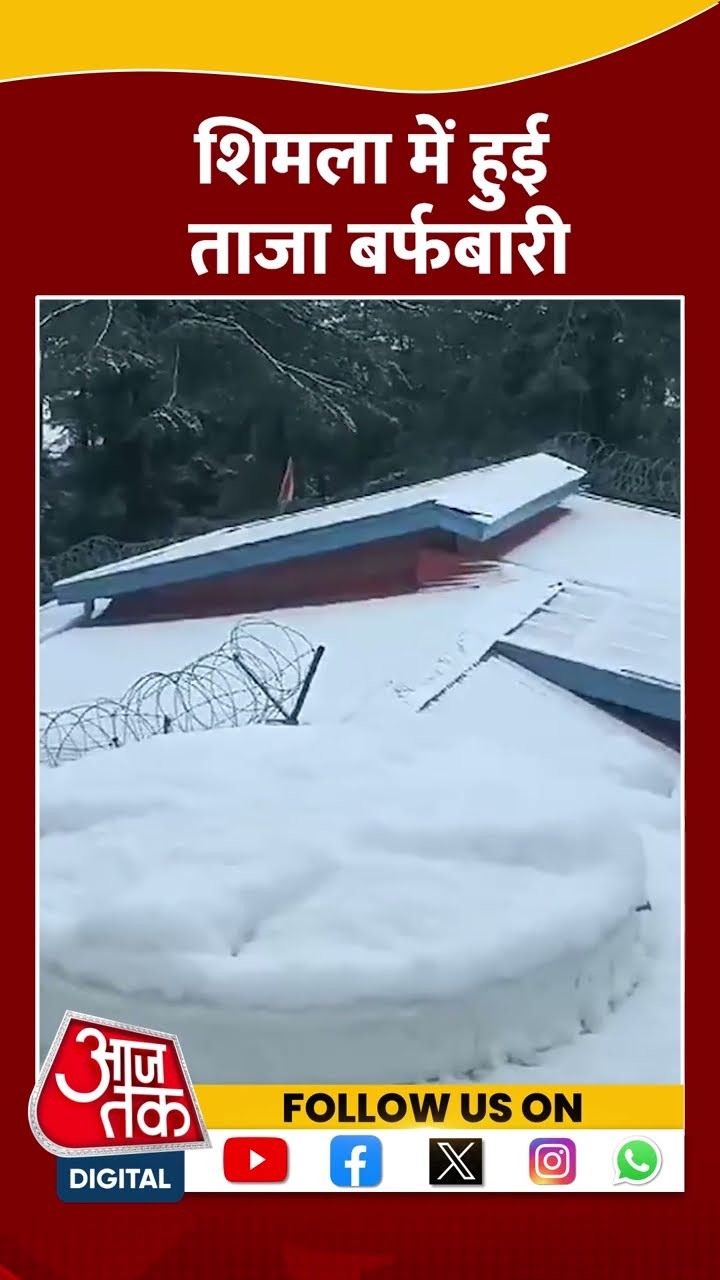 Himachal Snowfall: Shimla में हुई ताजा बर्फबारी | #shimla #himachalpradesh #snowfall #shorts