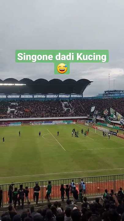 Singone dadi kucing | PSS SLEMAN vs AREMA #psssleman #arema #liga1bri2022
