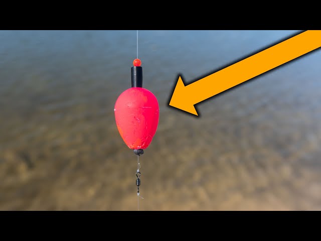 Simple Float Rig