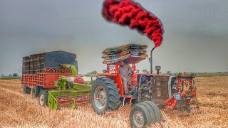 tractor MF 385# Chopper machine# mf385 performance#mf tractor chopper machine catting wheat🌾