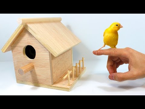 Video: Casas de pájaros de bricolaje para pájaros: tipos, dibujos, materiales necesarios e instrucciones paso a paso para realizar el trabajo