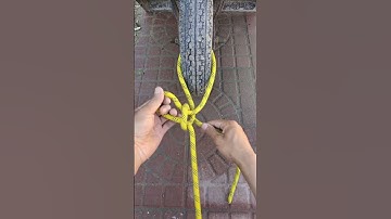 Another new skill that helps you in your life. Content inspired search. Knot