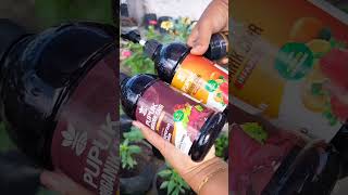 #berkebun #tips #garden #pupukcair #pupukorganik #shorts