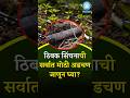 ठिबक सिंचनाची सर्वात मोठी अडचण जाणून घ्या| #khetibadi #facts #education #drip  #shorts