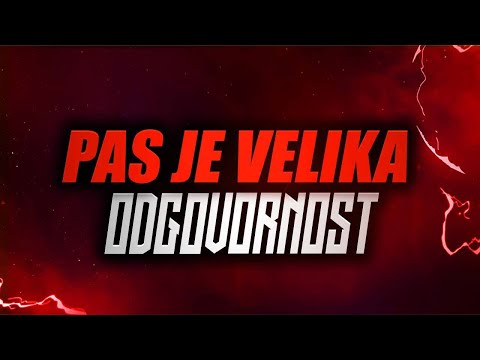 Video: Što Trebate Da Nabavite Psa