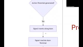 Module 2 Mind Map