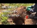 柿の苗木の植え方とポイント