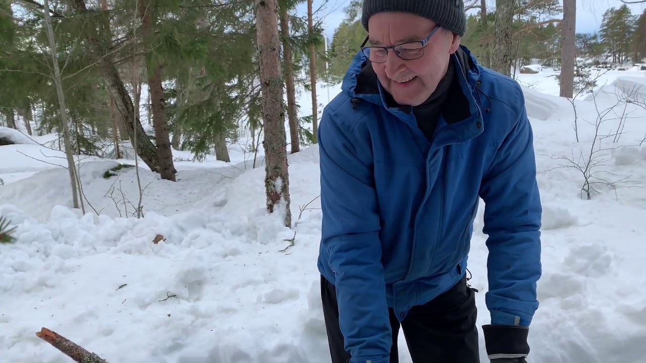 Kaukaluoto 28.2.2021