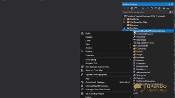 DNN: Building Enterprise & Team Friendly Solutions & Extensions with UpendoDNN