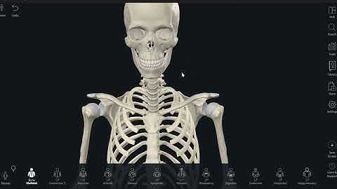 My 6 MONTH Anatomy Routine - NO ART SCHOOL