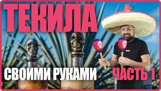 Вторая в России домашняя Текила! ЧАСТЬ 1
