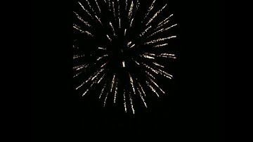 2.5" display shell + red tail + 12 cues fireworks remote control ignition system. (2.5寸礼花弹+点火器)