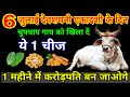 6 जुलाई देवशयनी एकादशी के दिन चुपचाप गाय को खिला दें एक चीज एक महीने में करोड़पति बन जाओगे #ekadashi