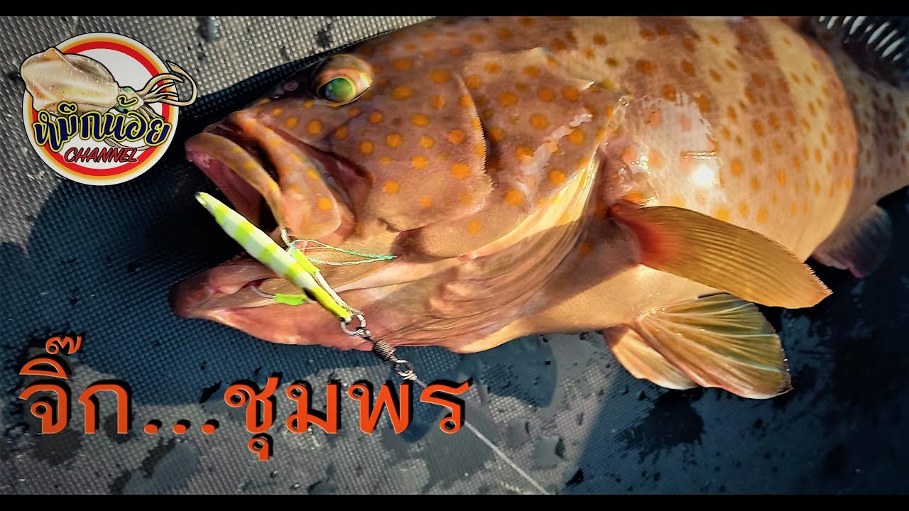 จิ๊กกิ้ง slj ชุมพร