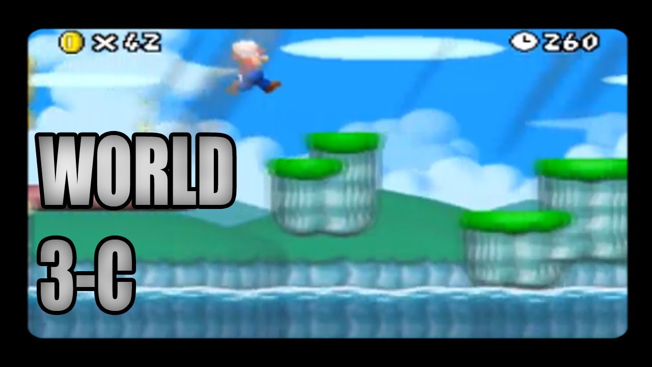 new super mario bros ds world 3