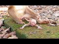 Mother Mada want baby to Learn to walk.