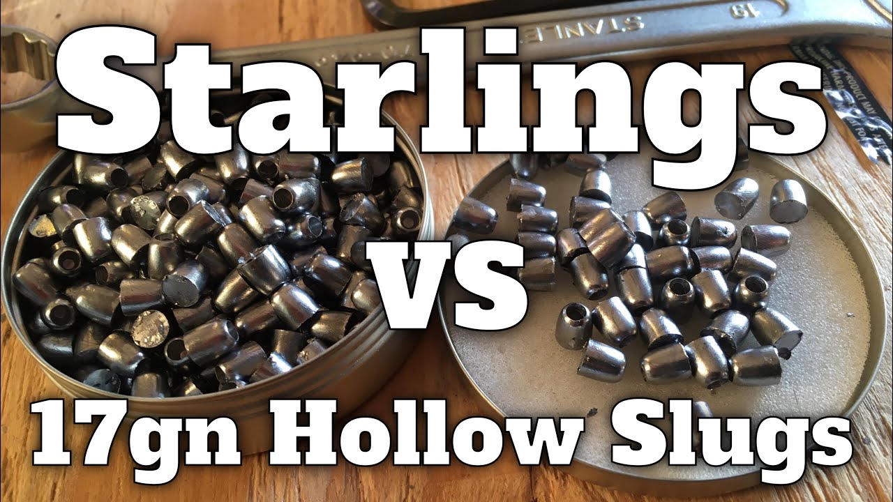 Starling Terminator 17gn HP Slug Kral Puncher Tactical OneLeaf NV Cam ...